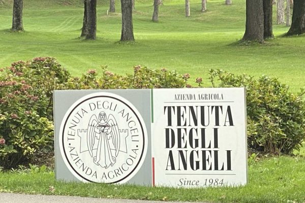 golf-cup-balsamo-geli angeli7